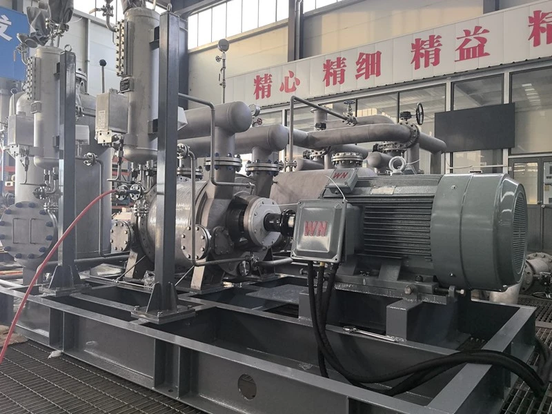 2BE liquid ring vacuum system 2 2BE liquid ring vacuum system 2